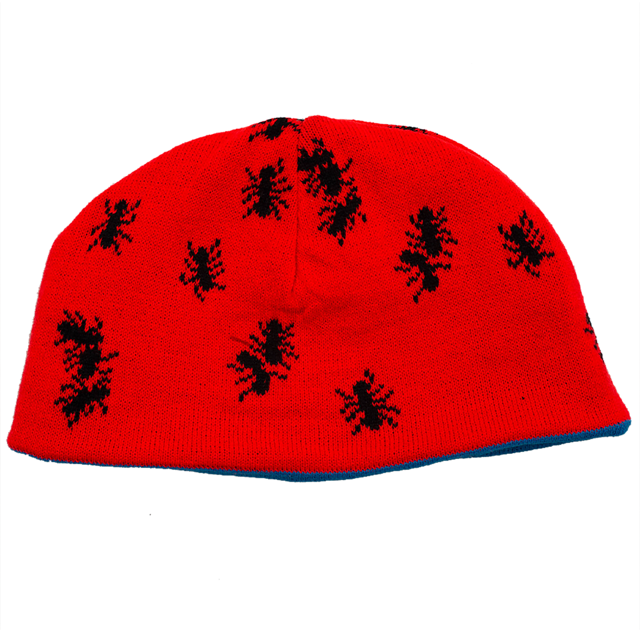 ANT REVERSIBLE BEANIE — Carpet Company